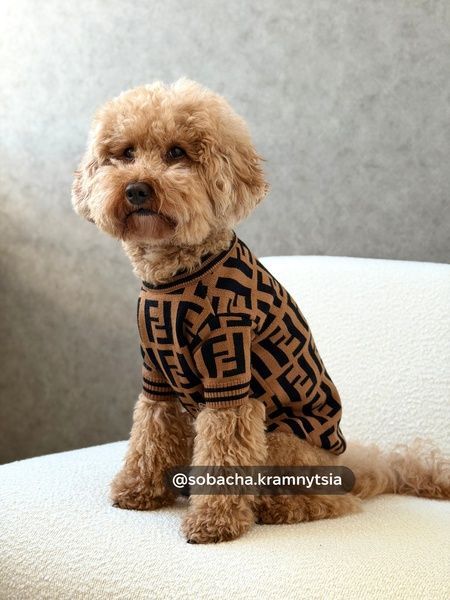 Светр для собак Fendi, коричневий XL 351-S фото