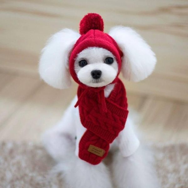 Шапка та шарф Cheepet для собак | Шапка для собак дрібних та середніх порід собак | Шарф для собак 163-S-RED фото