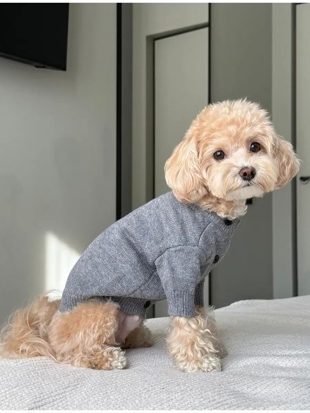 Брендовий свитер для собак Comme des Gar&ccedil;ons, серый L 294-1-L фото