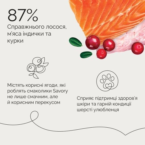 Джерки Savory Bars With Salmon, батончики з лососем 100 г 21106 фото